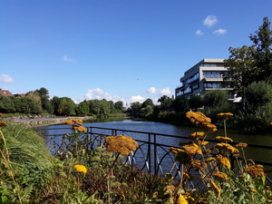 Roeselare -Stadspark-11-8-2018