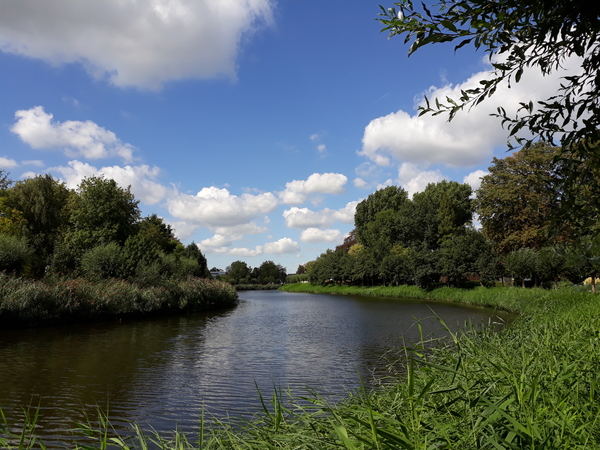 Stadspark-7-8-2018