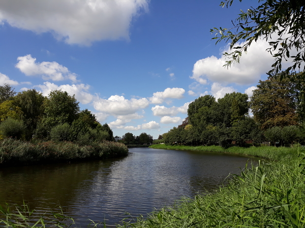 Stadspark-7-8-2018