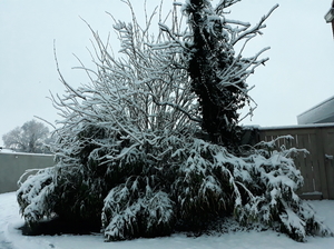 Roeselare-Sneeuw-22-01-2019