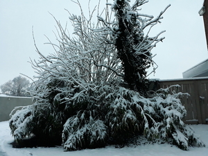 Roeselare-Sneeuw-22-01-2019