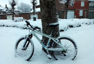 Roeselare-Sneeuw-22-01-2019