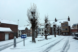 Roeselare-Sneeuw-22-01-2019