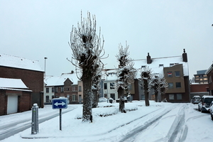 Roeselare-Sneeuw-22-01-2019