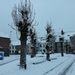 Roeselare-Sneeuw-22-01-2019