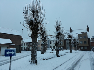 Roeselare-Sneeuw-22-01-2019