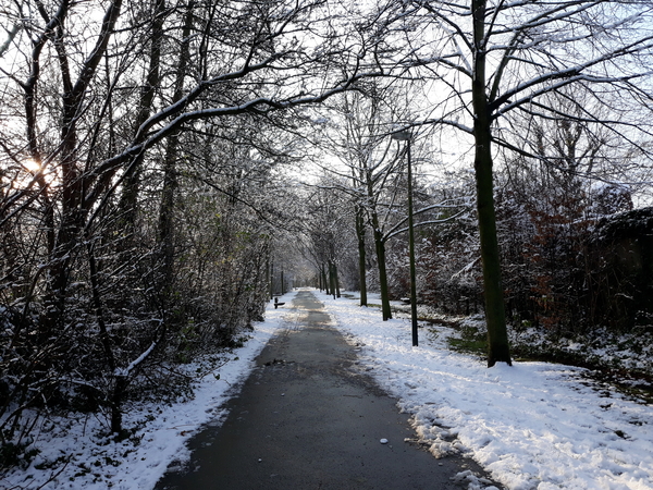 Roeselare-Sneeuw-25-01-2019