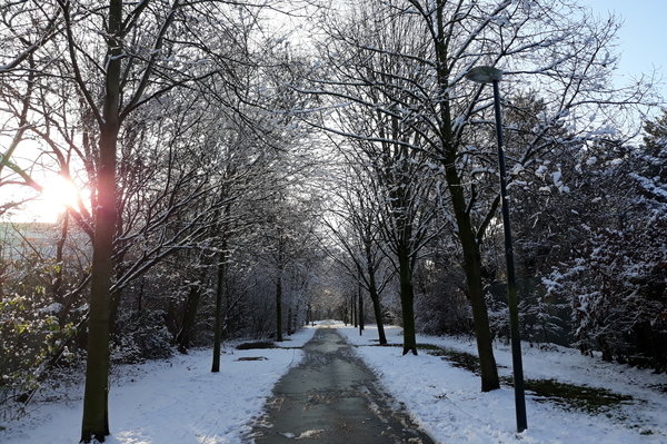 Roeselare-Sneeuw-25-01-2019