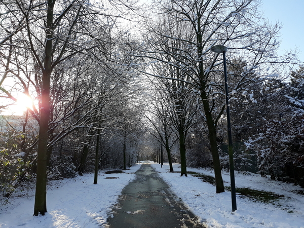 Roeselare-Sneeuw-25-01-2019