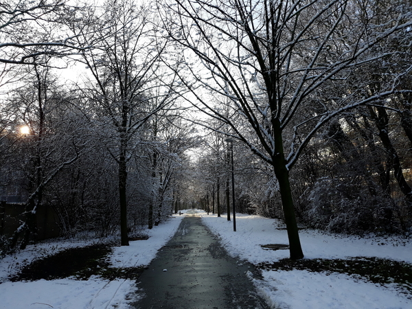 Roeselare-Sneeuw-25-01-2019