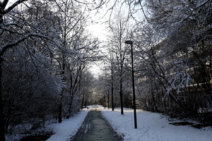 Roeselare-Sneeuw-25-01-2019