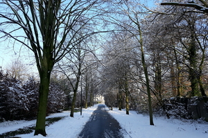 Roeselare-Sneeuw-25-01-2019