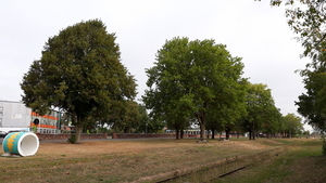 Staden-Oude Spoorwegberm-19-9-19