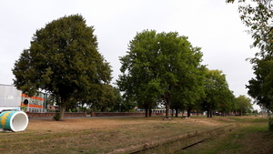 Staden-Oude Spoorwegberm-19-9-19