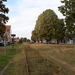 Staden-Oude Spoorwegberm-19-9-19