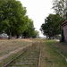 Staden-Oude Spoorwegberm-19-9-19