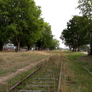 Staden-Oude Spoorwegberm-19-9-19