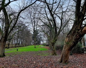 Roeselare-Blekerijstraat-7-1-2022-2