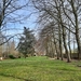 Smarthone-Natuurfoto's
