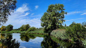 Roeselare,Mandel,Schiervelde