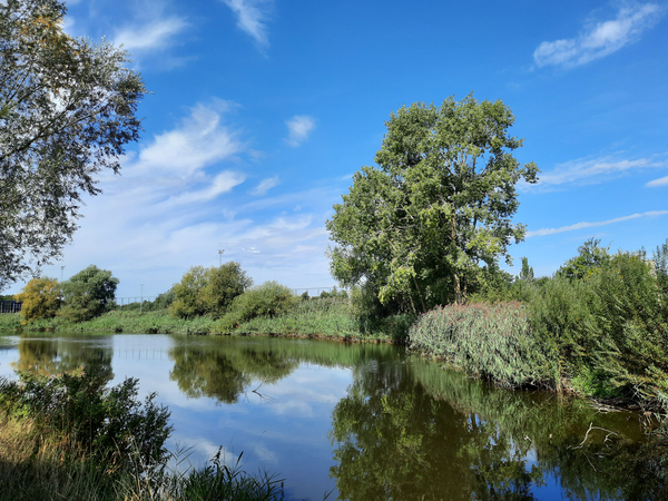 Roeselare,Mandel,Schiervelde