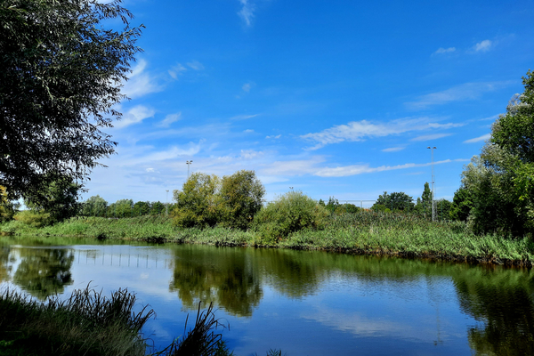 Roeselare,Mandel,Schiervelde