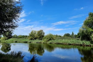 Roeselare,Mandel,Schiervelde