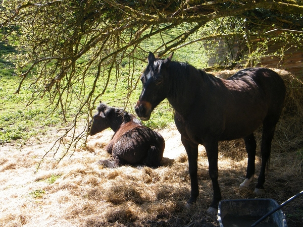 2015_04_15 Valle de l'Hermeton 01