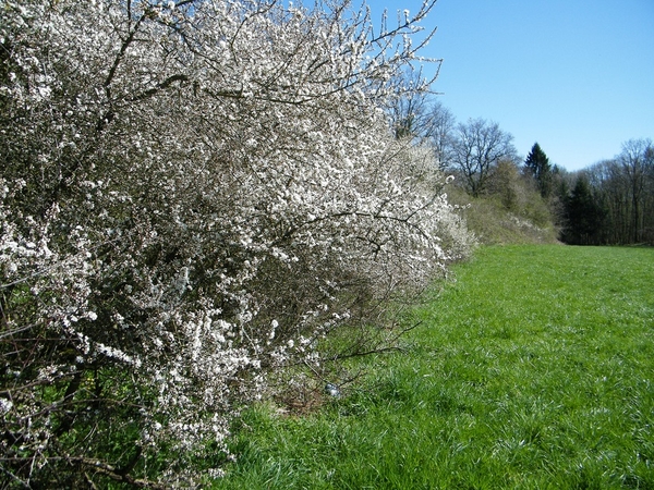 valle de l'hermeton