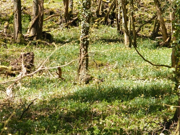 valle de l'hermeton