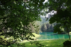DSC00199