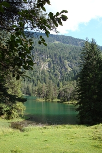 DSC00201
