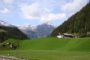 DSC00211