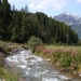 DSC00217