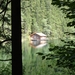 DSC00246