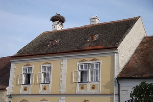 DSC00033
