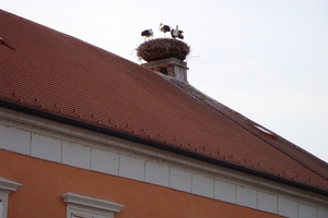 DSC00034