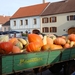 DSC00035