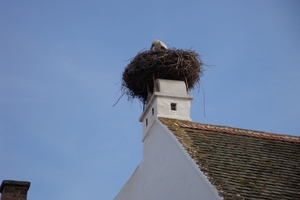 DSC00037