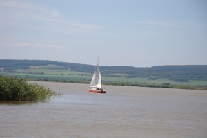 DSC00079