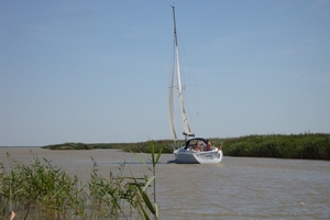 DSC00090