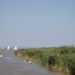 DSC00095