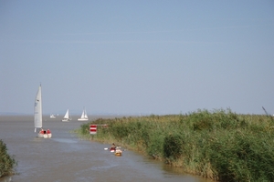 DSC00095