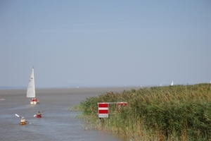 DSC00096