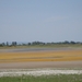 DSC00105