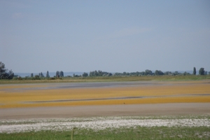 DSC00105