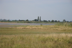 DSC00113