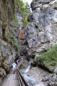DSC00131