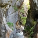 DSC00140