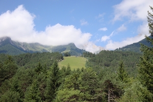 DSC00141